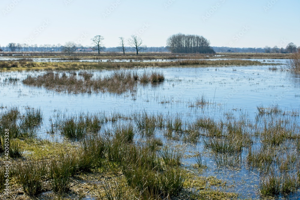 Nature reserve Empese and Tondense Heide in the East of the Netherlands Nature reserve Empese and Tondense Heide in the East of the Netherlands