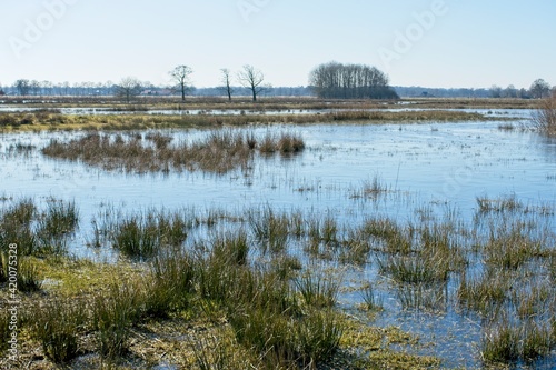 Nature reserve Empese and Tondense Heide in the East of the Netherlands
