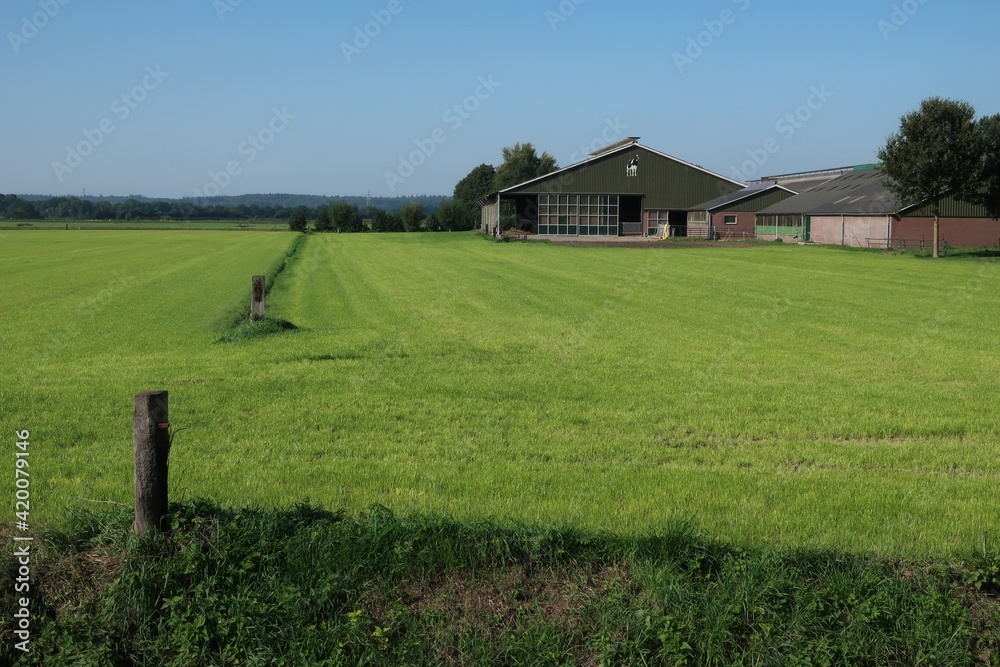 Obraz premium Large dairy barn near Wageningen the Netherlands