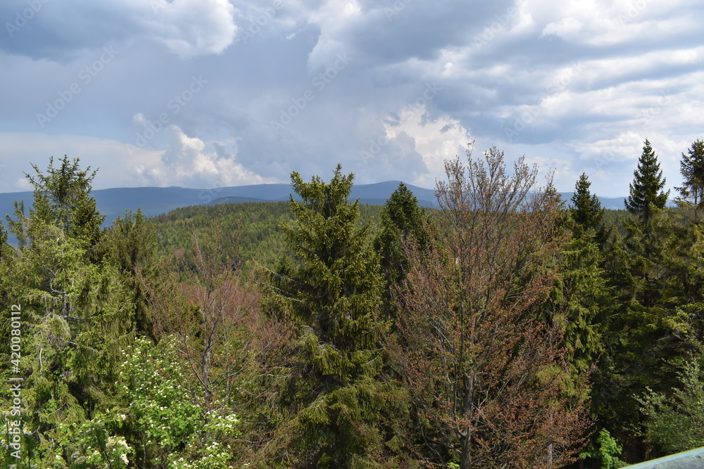 Fototapeta premium Landscape