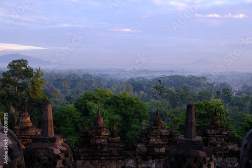 Borobudur Temple and Forest 