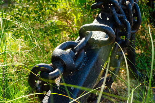Anchor with a chain in the grass in the rays of the summer sun. The concept of missed opportunities, rigor, uselessness, lack of demand