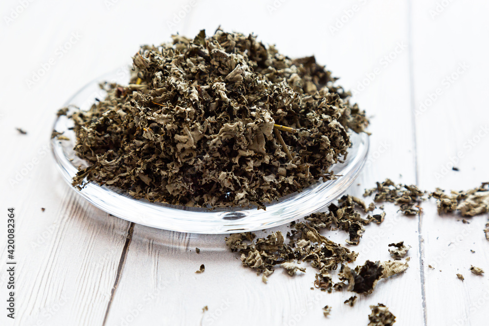 Fototapeta premium Fermented tea made from raspberry leaves in a glass plate on a white wooden table. Composition with organic, natural, dry herbal tea