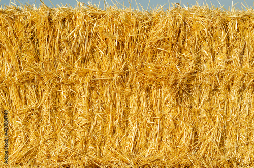 Hay bale background. Hay texture for agriculture