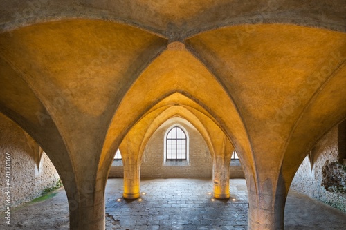 Fotografie, Obraz Gothic cellar vault in chapel