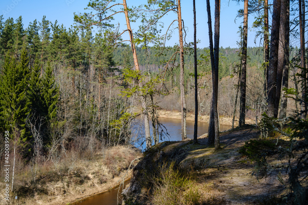 sandstone cliffs on the shore of forest river in Latvia sandstone cliffs on the shore of forest river in Latvia