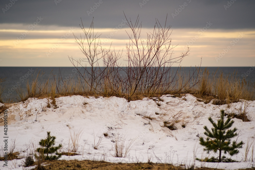 icy winter beach near the sea with frozen sand and ice blocks in the water icy winter beach near the sea with frozen sand and ice blocks in the water