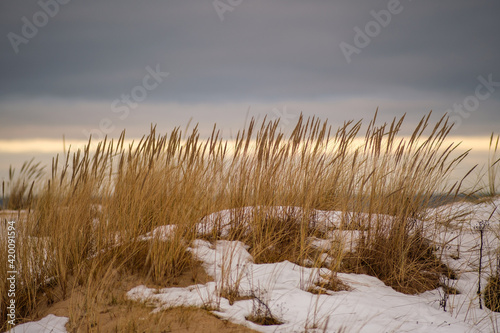 Fototapeta Naklejka Na Ścianę i Meble -  icy winter beach near the sea with frozen sand and ice blocks in the water