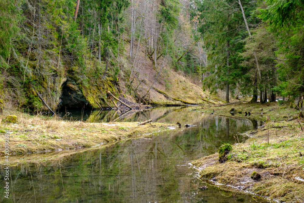 sandstone cliffs on the shore of forest river in Latvia