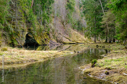 sandstone cliffs on the shore of forest river in Latvia