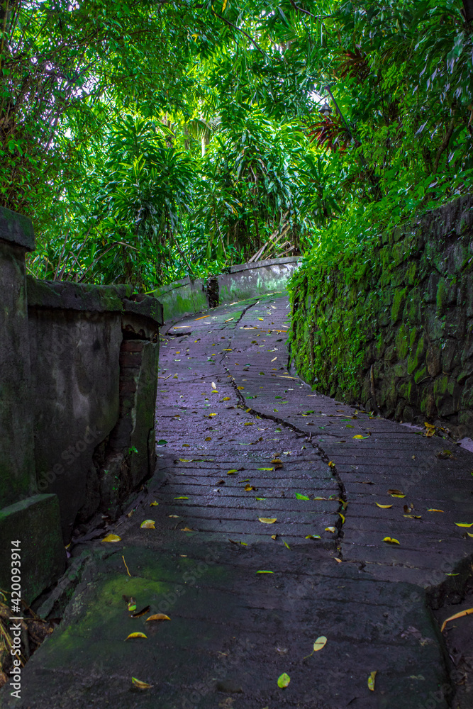 footpath in Campuhan Hill, Bali, Indonesia