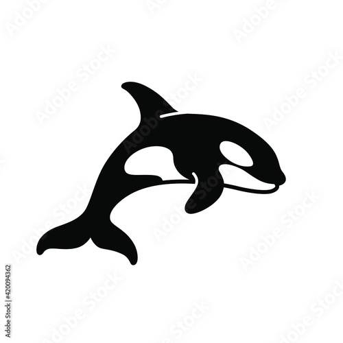 Cartoon killer whale. Vector illustration.