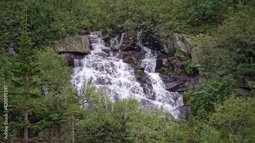 Cascading waterfall surrounded by trees and plants
