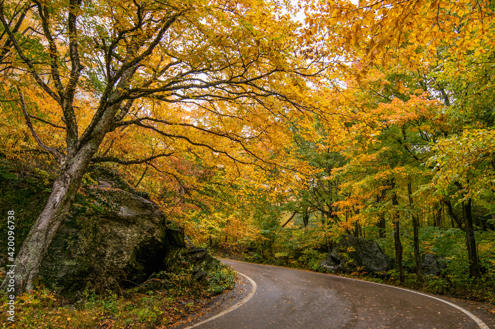 Cambridge, VT, Fall colors along the scenic Smugglers Notch Road.