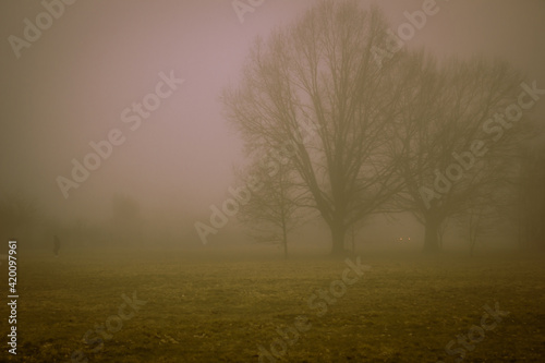 The figure of a man near the trees in a mystical fog. The period before dawn.