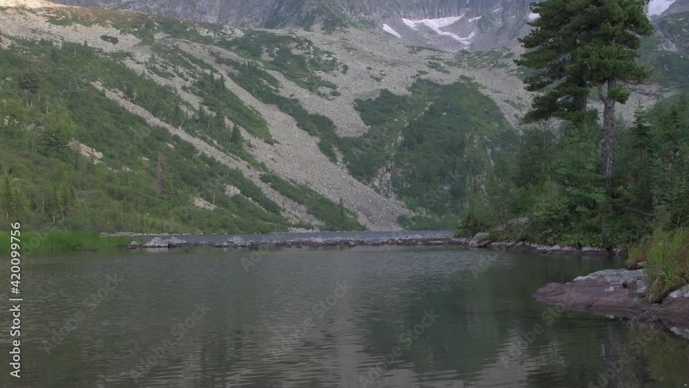 Mountain lake. Cedars on shore, leaves move in wind Mountain lake. Cedars on shore, leaves move in wind