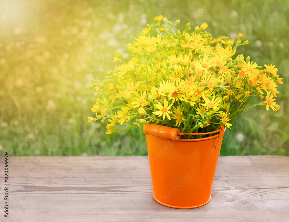 yellow summer flowers, natural background with copy space