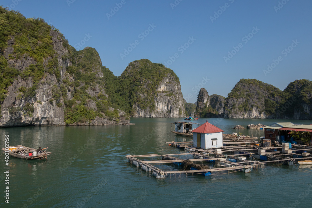 Floating wooden houses in a blue and sunny day in Halong bay , Vietnam