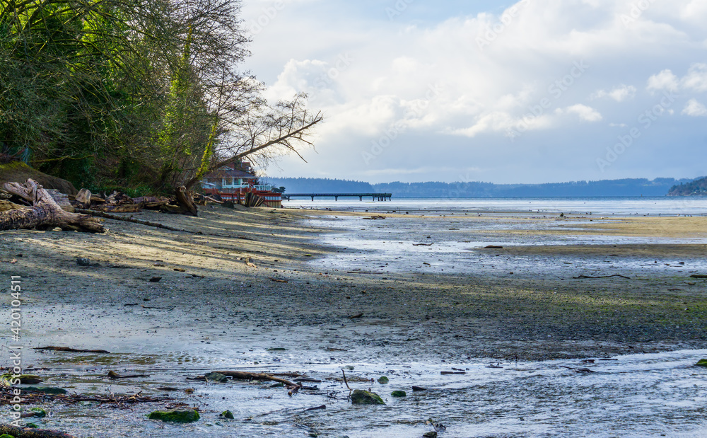 Dash Point Park Shoreline 2