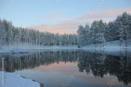 LAKE WITH WINTER FOREST