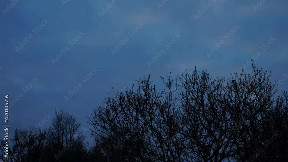 The clouds floating in the sky time-lapse footage. An evening landscape in early spring. The dark blue, cloudy sky before twilight. The naked branches of bare trees slightly obscure the dramatic view. The clouds floating in the sky time-lapse footage. An evening landscape in early spring. The dark blue, cloudy sky before twilight. The naked branches of bare trees slightly obscure the dramatic view.