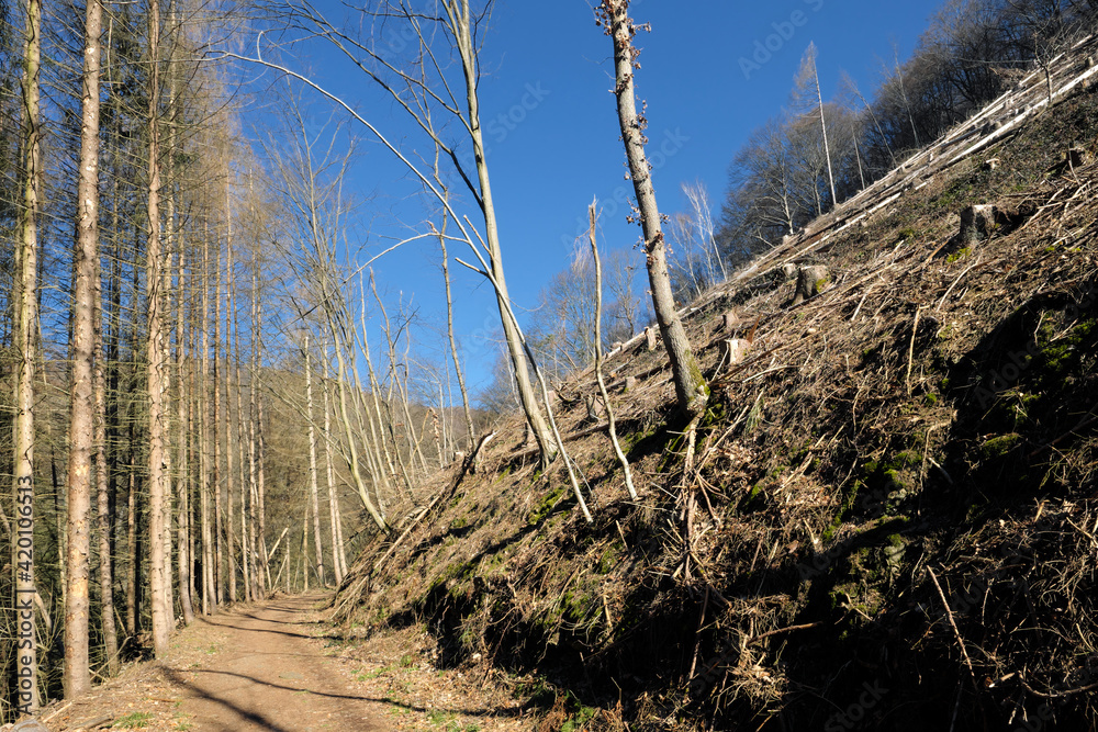 Abgeholzter Berghang und blauer Himmel - Stockfoto Abgeholzter Berghang und blauer Himmel - Stockfoto