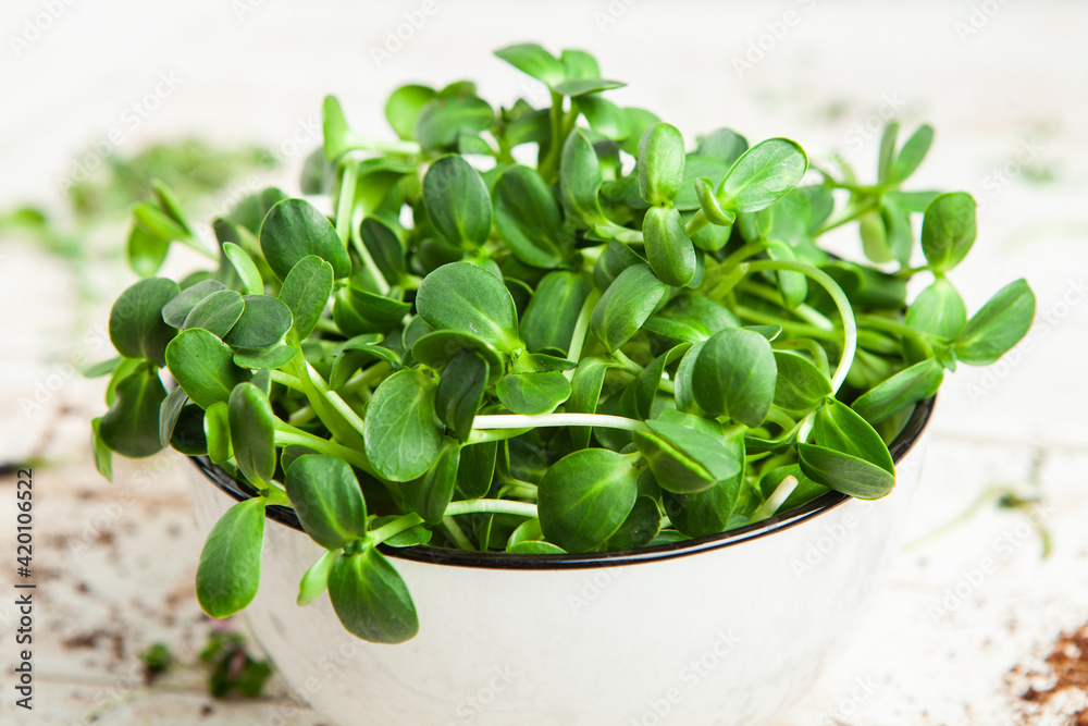Micro greens perfect fresh vegetables, herbs and greens with high levels of antioxidants, vitamins, minerals and enzymes Micro greens perfect fresh vegetables, herbs and greens with high levels of antioxidants, vitamins, minerals and enzymes