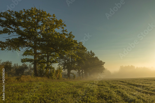 Autumn fog and the beautiful morning sun in landscape