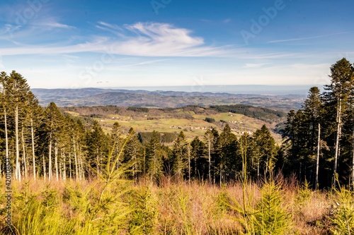 landscape of mountain of forez