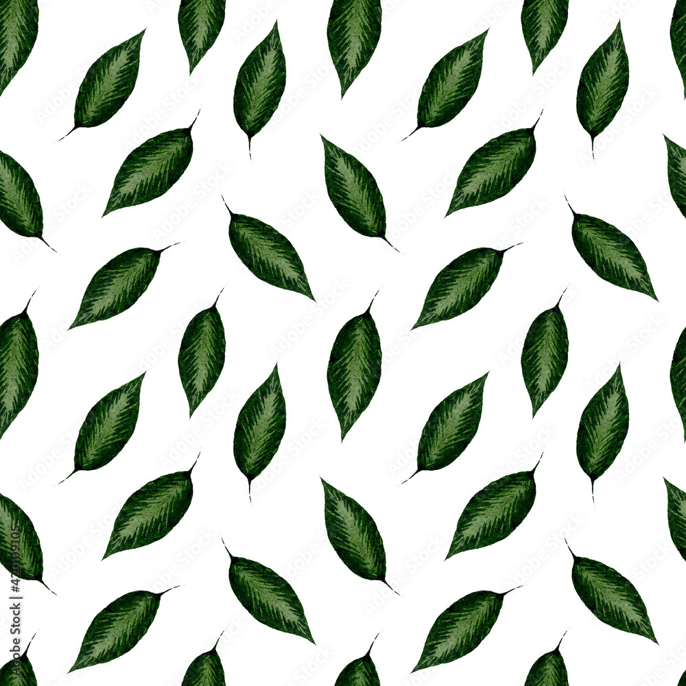 watercolor seamless pattern with dark green leaves on a white background
