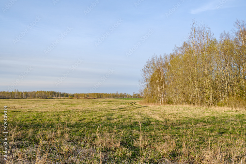 country landscape with green meadow and blue sky above