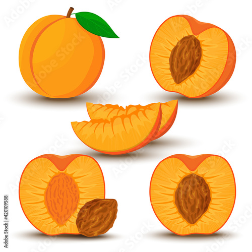 An image of a peach from different directions. Vector illustration in a flat style. Whole, half and sliced peach with bone.