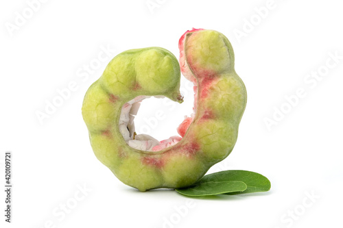 Manila tamarind fruit (Pithecellobium dulce) on white background. photo