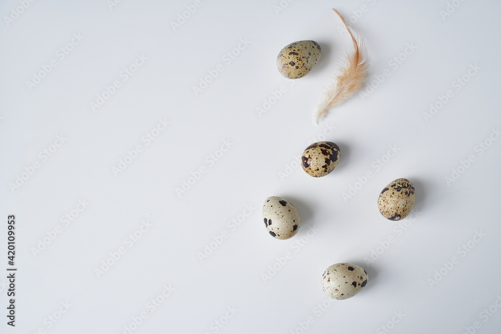 quail eggs with a feather on a white table. Easter concept Copy space quail eggs with a feather on a white table. Easter concept Copy space