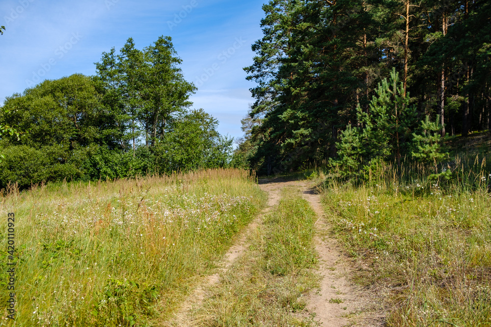 country landscape with green meadow and blue sky above country landscape with green meadow and blue sky above