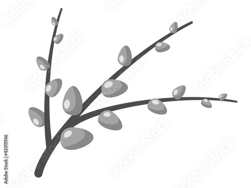 A large branch of pussy willow. The symbol of Easter and the coming spring. Fluffy buds are gray. Suitable for creating patterns, cards, invitations, articles and different typography. 