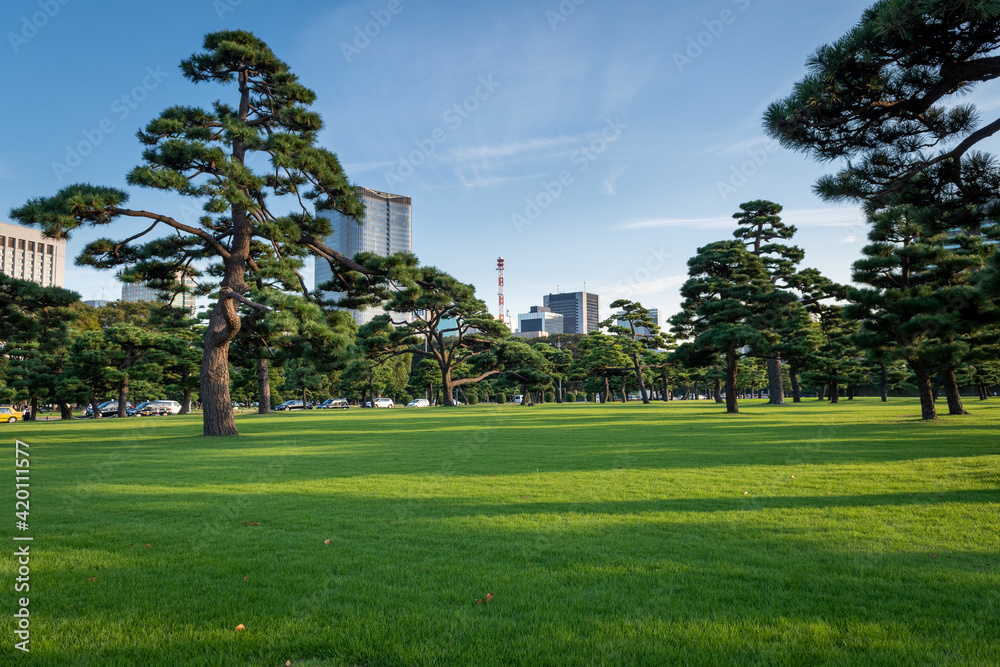 Japan - Tokyo