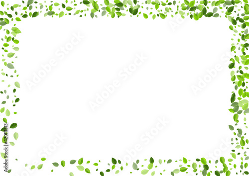 Lime Leaf Ecology Vector Pattern. Wind Leaves