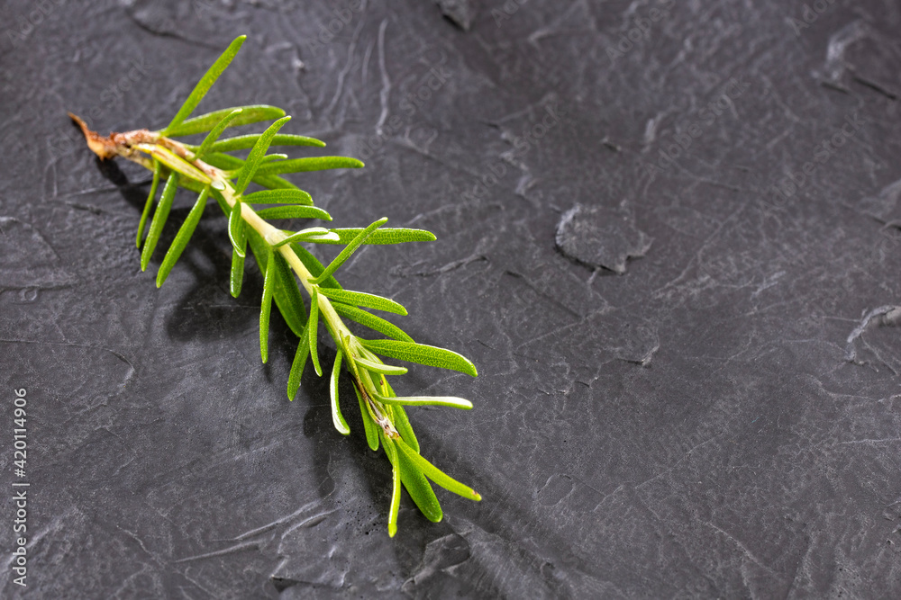 Rosmarinus officinalis - Organic fresh rosemary Rosmarinus officinalis - Organic fresh rosemary