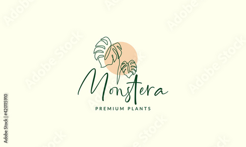 beautiful plant lines monstera logo vector symbol icon illustration design