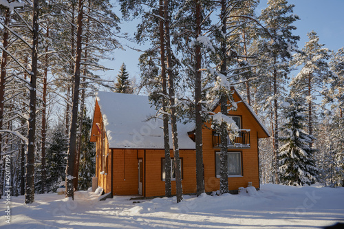 detached two-storey log cabin, with an attic, a beautiful house painted brown, surrounded by a winter coniferous forest, covered in snowdrifts
