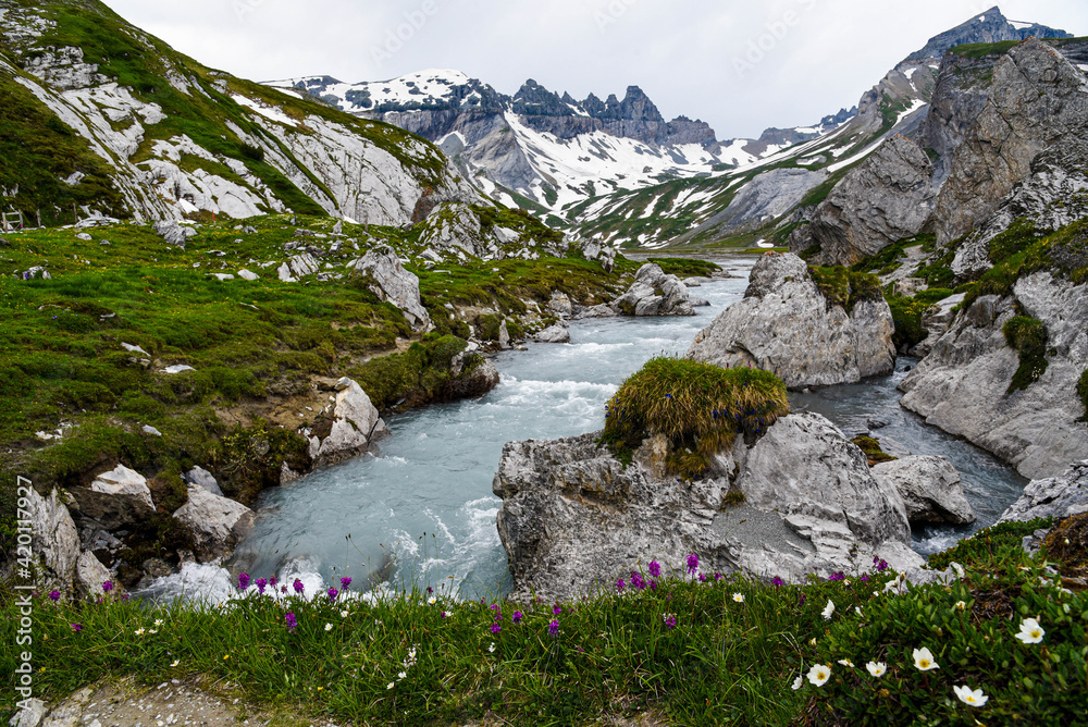 Scenic river running through the swiss mountains.