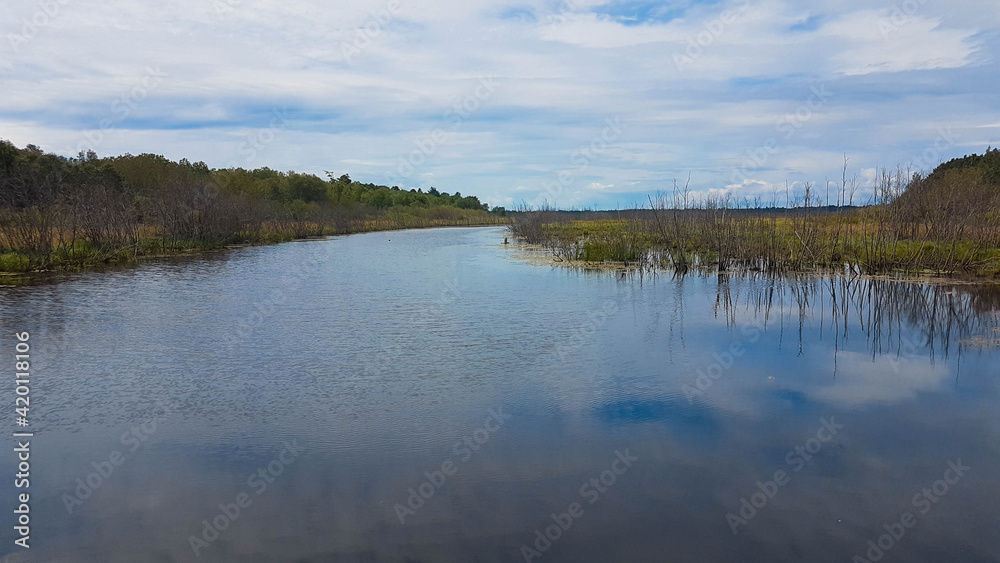 Scenic peaceful river surrounded by a swamp and dead bushes Scenic peaceful river surrounded by a swamp and dead bushes
