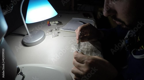 Biologist examining insect samples at night