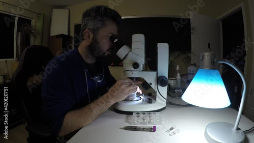 Biologist examining insect samples at night