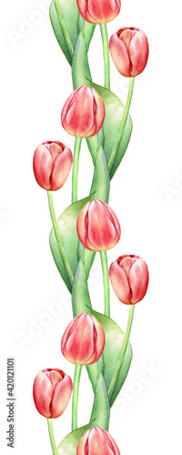 Seamless pattern with watercolor red tulips