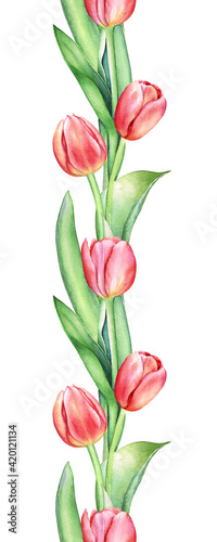 Seamless pattern with watercolor red tulips