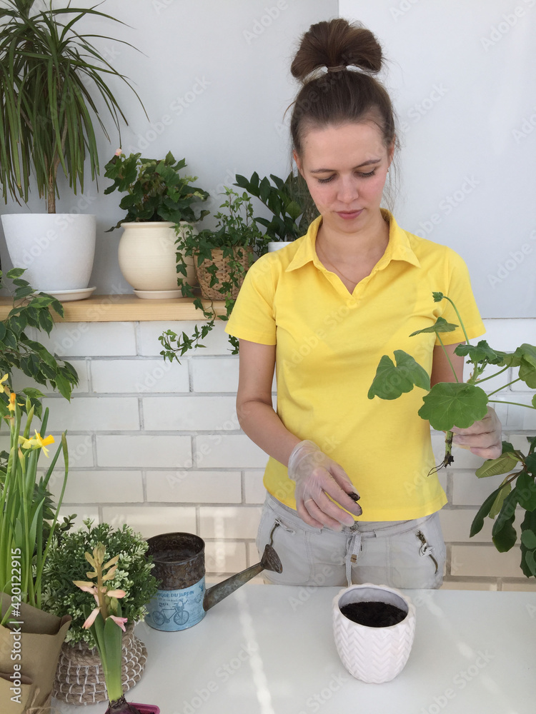 A young girl in a yellow blouse transplants a home plant A young girl in a yellow blouse transplants a home plant