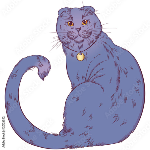 Wallpaper Mural Scottish fold cat sitting back with face turned to the viewer. Fluffy kitten. Illustration for cat cattery, pet shop, pet hotel. Vector illustrations in hand draw style isolated on white background. Torontodigital.ca