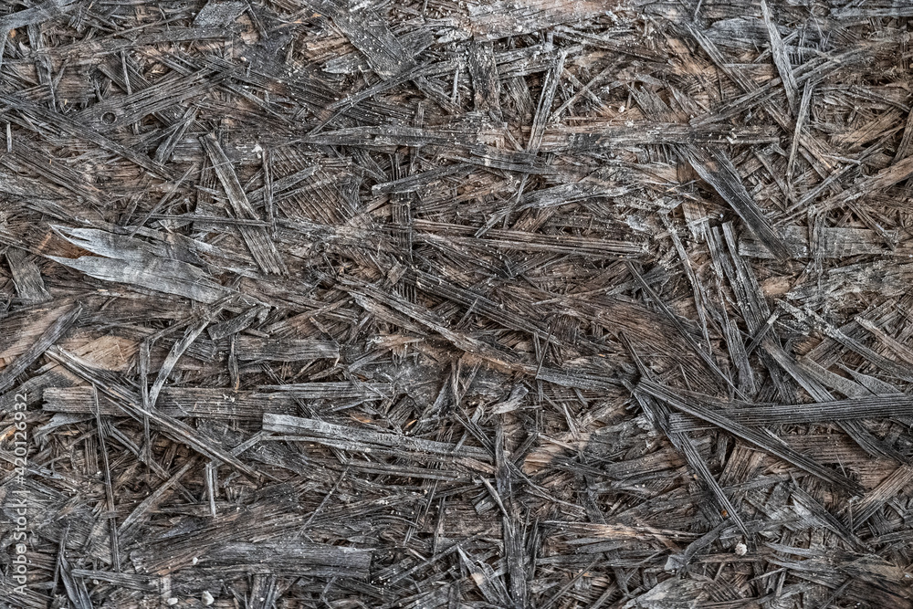 old gray texture osb board, background gray texture old gray texture osb board, background gray texture